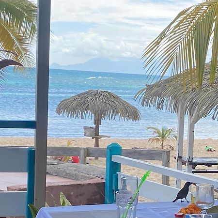 Le 35 Anse Des Rochers Saint-Francois Buitenkant foto
