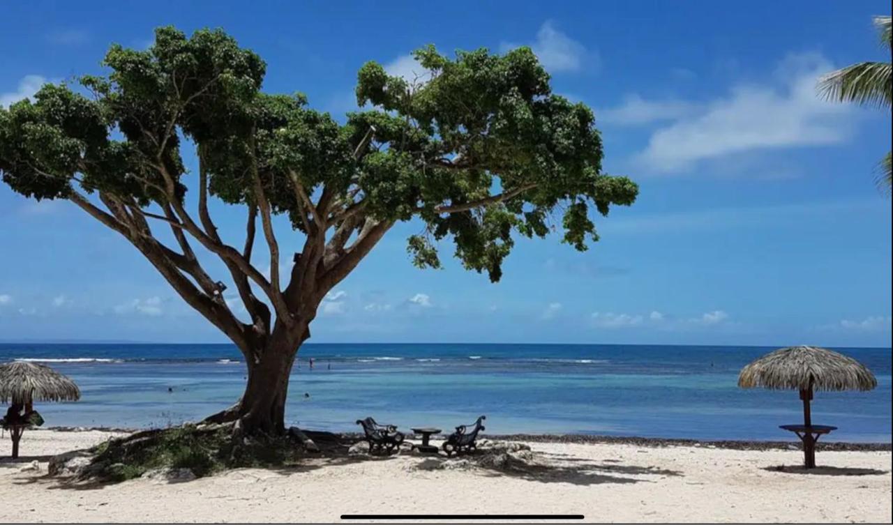 Le 35 Anse Des Rochers Saint-Francois Buitenkant foto