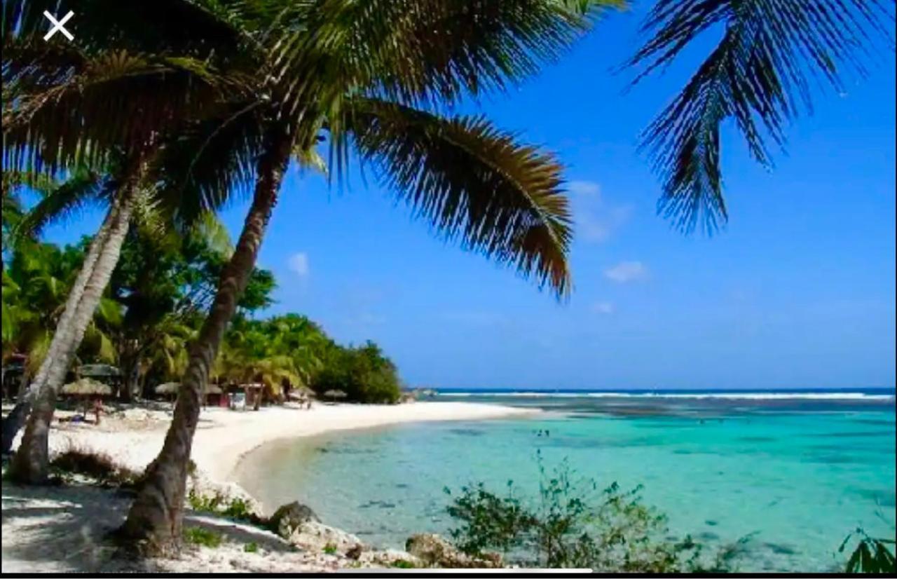 Le 35 Anse Des Rochers Saint-Francois Buitenkant foto