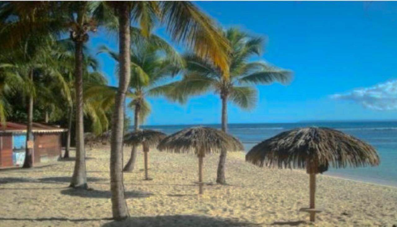 Le 35 Anse Des Rochers Saint-Francois Buitenkant foto
