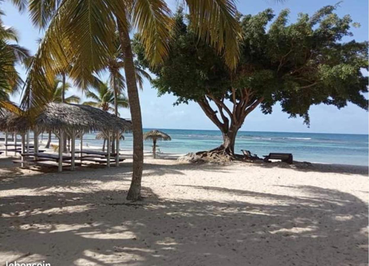 Le 35 Anse Des Rochers Saint-Francois Buitenkant foto
